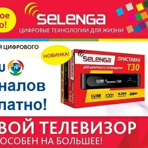 Цифровой Эфирный Ресивер ОТАУ ТВ OTAU TV DVB-T2 Selenga T30 