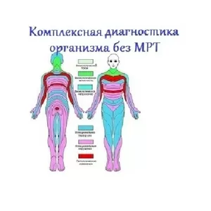 Комплексная диагностика организма без анализов и МРТ