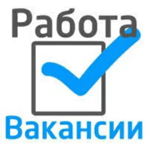 Специалист коммерческой поддержки