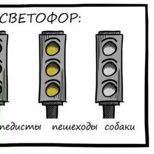 Автошкола обучение курсы на права