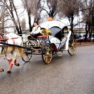 карета в Алматы