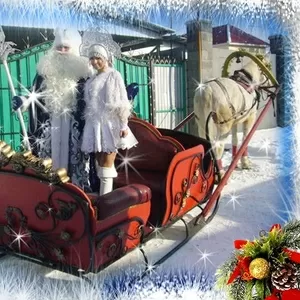 Дед Мороз и снегурочка с символом года