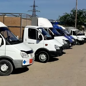 Экспресс пеевозки ГАЗель /FOTON 5 -10 тонн