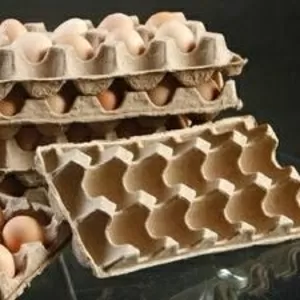 Линия для производства бугорчатых прокладок для яиц