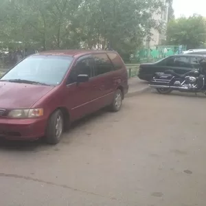 Продам Honda odyssey