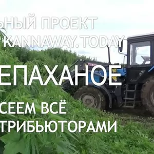 Работа для желающих зарабатывать 