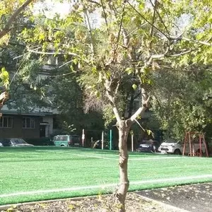  3-х комнатная   ЦЕНТР Алматы  87762565897