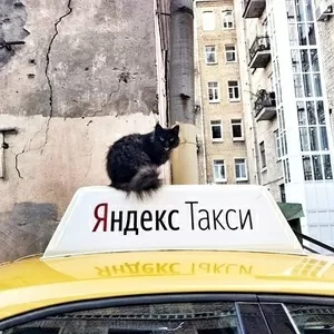 Регистрация водителей в Яндекс Такси