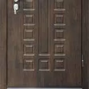 Железная дверь СЕНАТОР