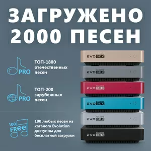 Лучший Караоке Evobox у официального дилера есть другие модели