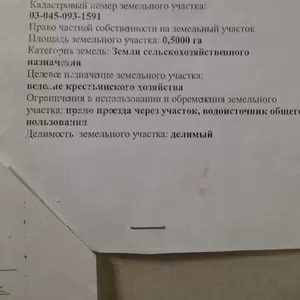 Участок 50 соток в Узынагаше