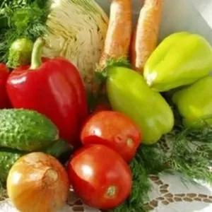 Продам крупным оптом овощи из Белоруссии.