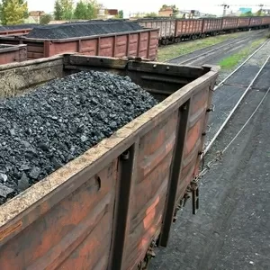 Уголь каменный оптом на вагоне