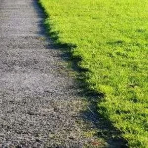 Травосмесь для укрепления откосов