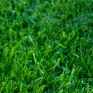 Травосмесь для рекультивации