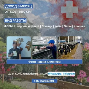 Pабота на фермe в Швейцарии