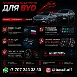  BYD  профессиональные услуги в Алматы. 