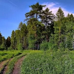 продам земельный участок  возле Талдыкорганa